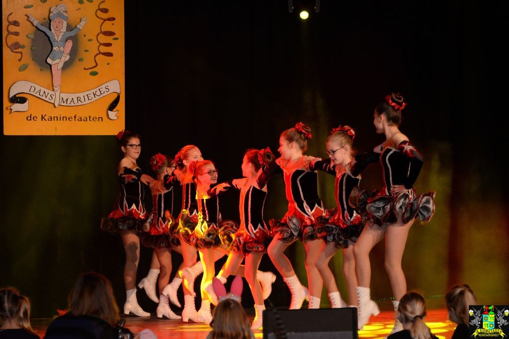 ../Images/Dansmarieke festival 2018 111.jpg